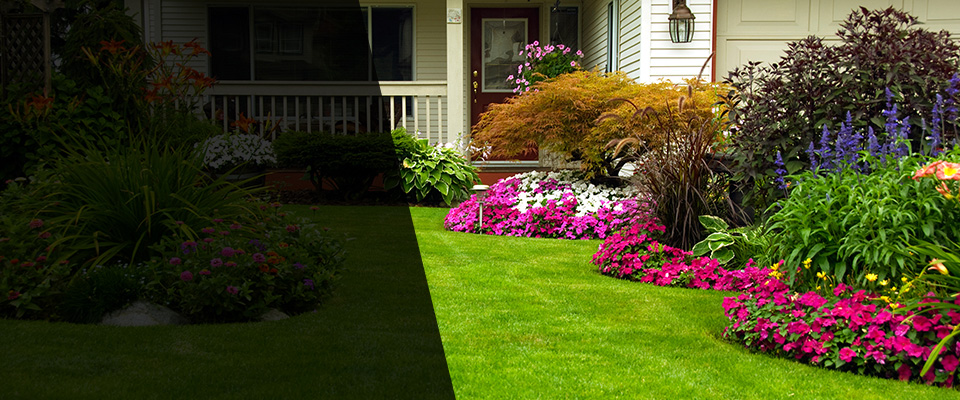 Rehoboth Landscapers