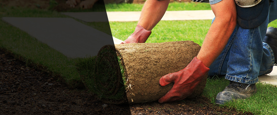 Rehoboth Landscapers